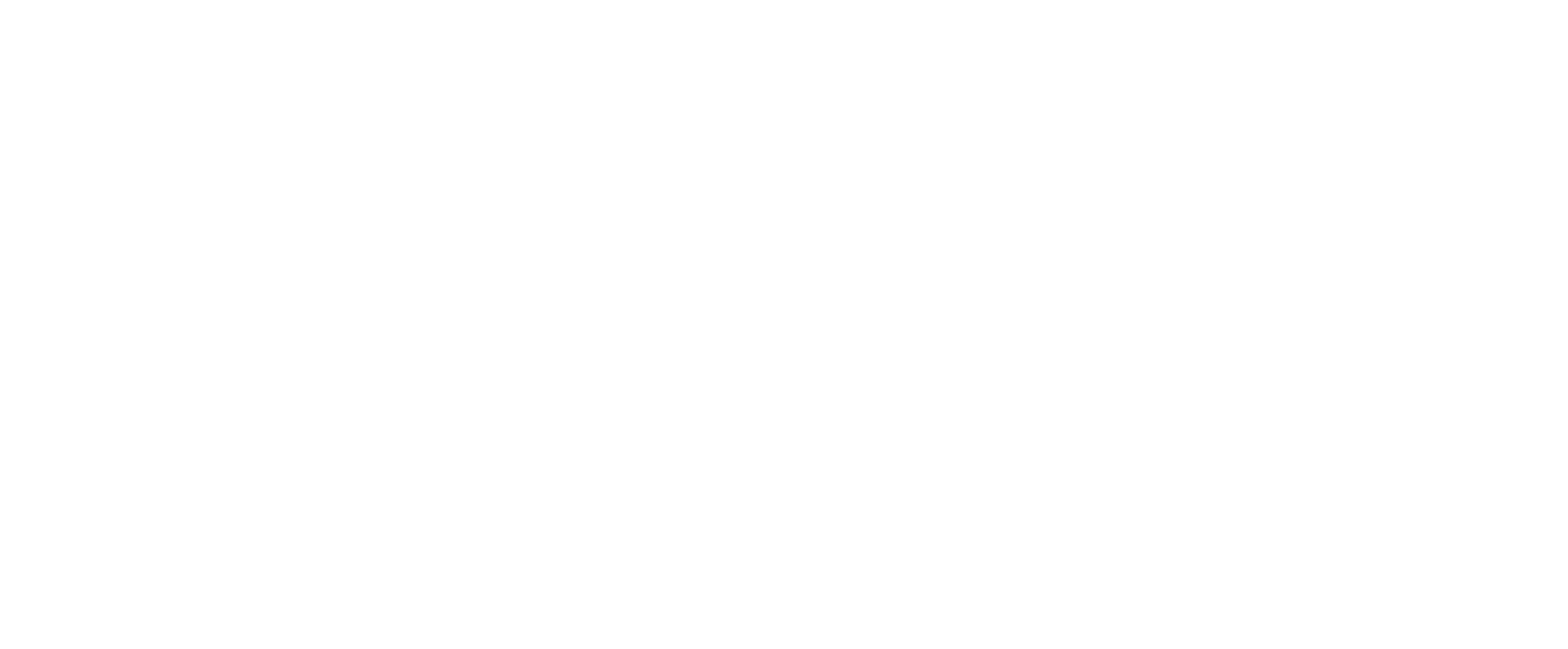 Eissalon El Sendiouny