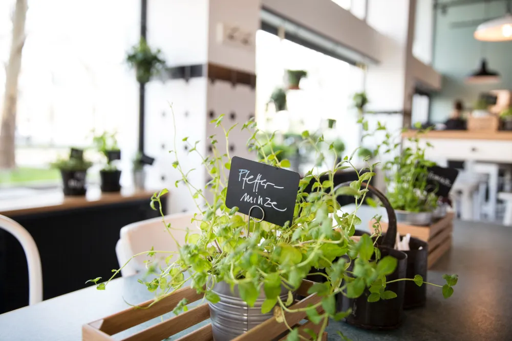 11-Swing-Kitchen-Restaurant-Kräutertopf-Pfefferminze-Derenko-Innenarchitektur-Restaurant.jpg